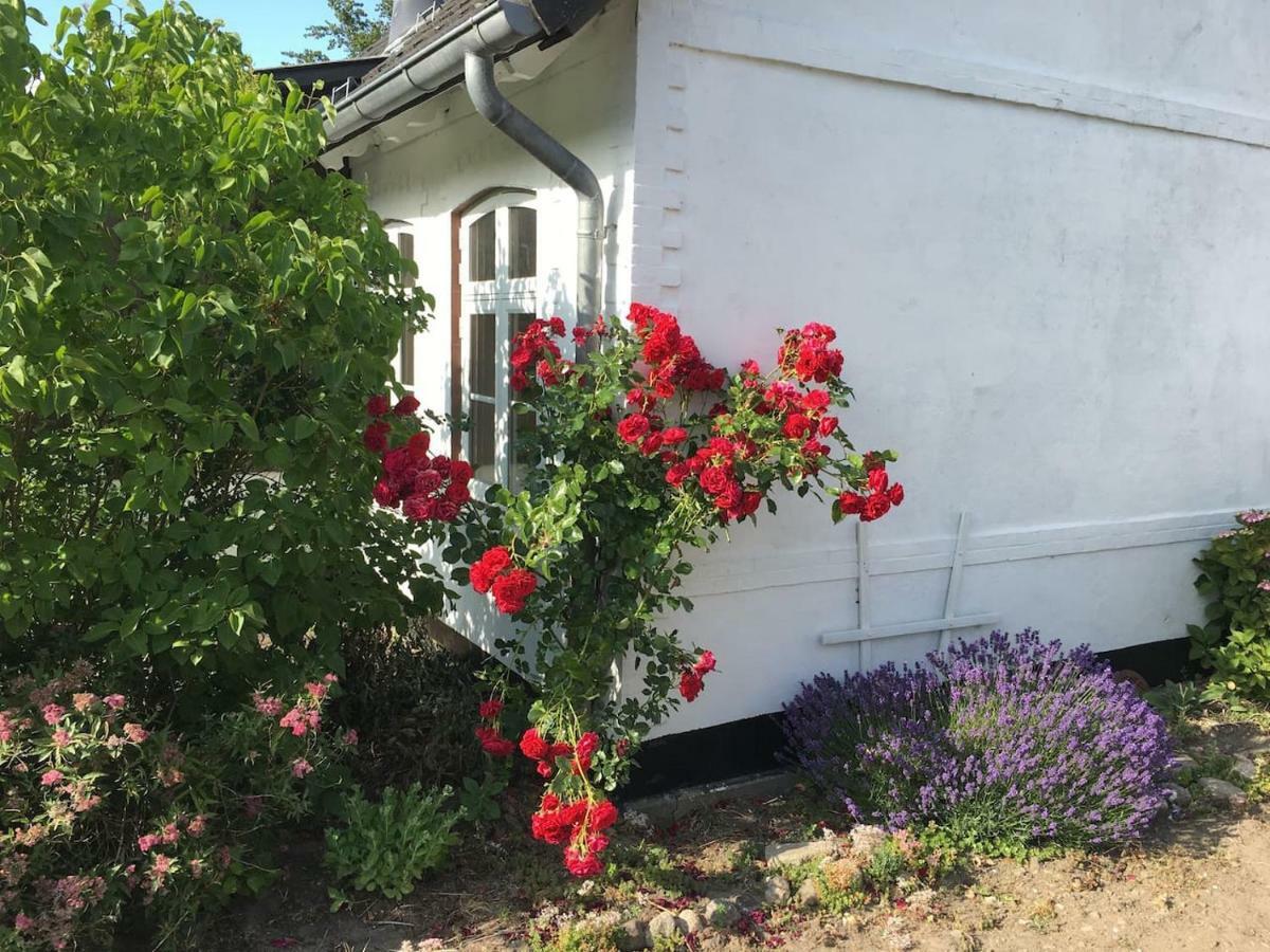 Kleines Bauernhaus Hotel Mogeltonder Eksteriør billede